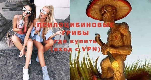 сатива Новокубанск