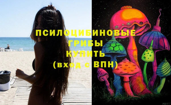 ГАЛЛЮЦИНОГЕННЫЕ ГРИБЫ Новодвинск
