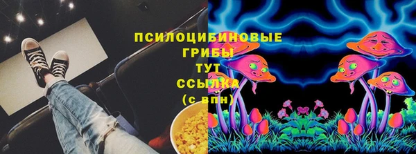 сатива Новокубанск