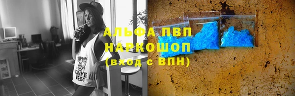 сатива Новокубанск