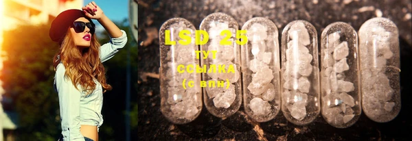 PSILOCYBIN Нея