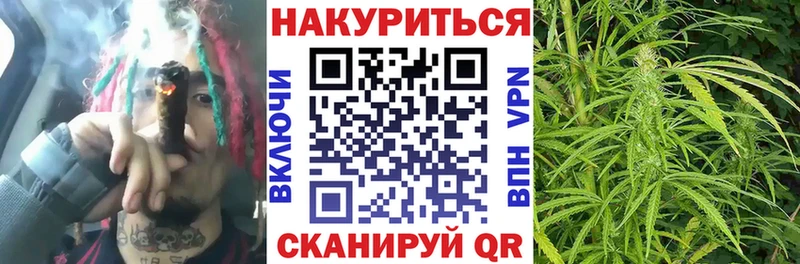Купить где  Калачинск  Конопля сатива 